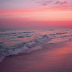 Meet your Posher, Angelica